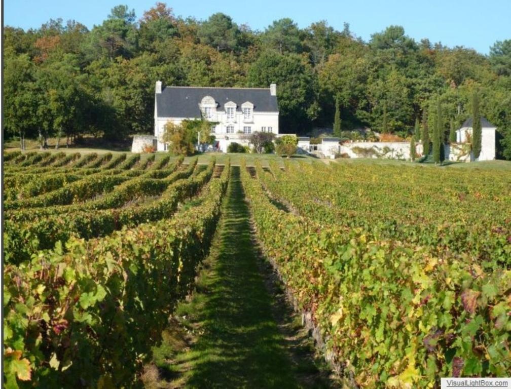 Domaine Beausejour Acomodação com café da manhã Panzoult Exterior foto